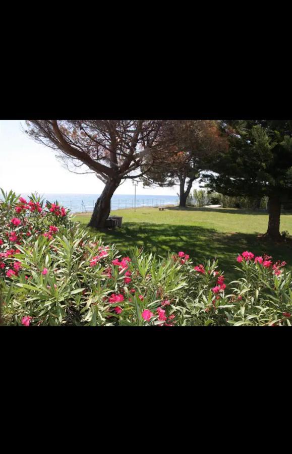 Appartamento Chez Celine & Rudi Moriani-Plage Esterno foto