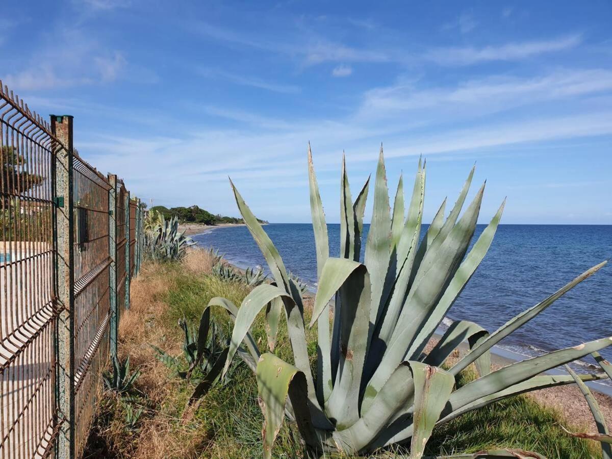 Appartamento Chez Celine & Rudi Moriani-Plage Esterno foto